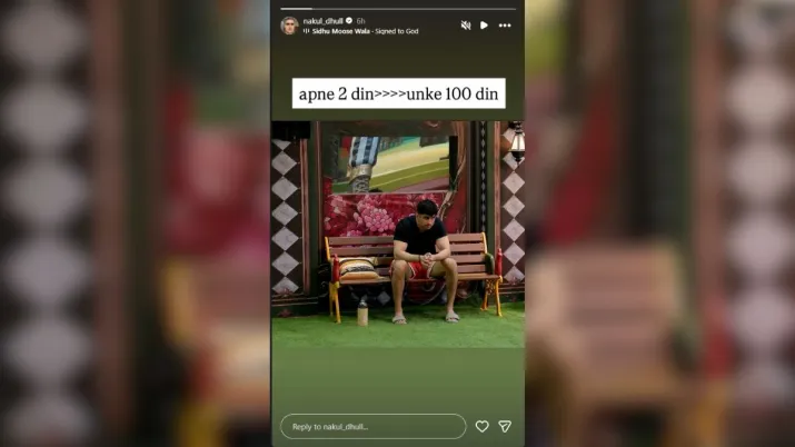 India Tv - Screengrab taken from Nakul Dhull's IG story. 