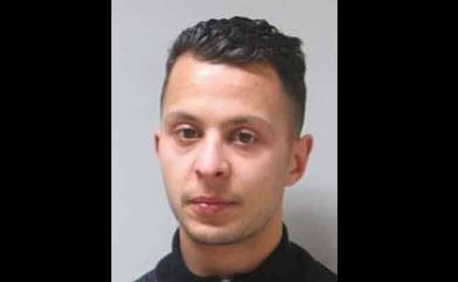 Paris attacks suspect held alive in Brussels, claim authorities | World News – India TV Paris attacks suspect held alive in Brussels, claim authorities | World News – India TV
