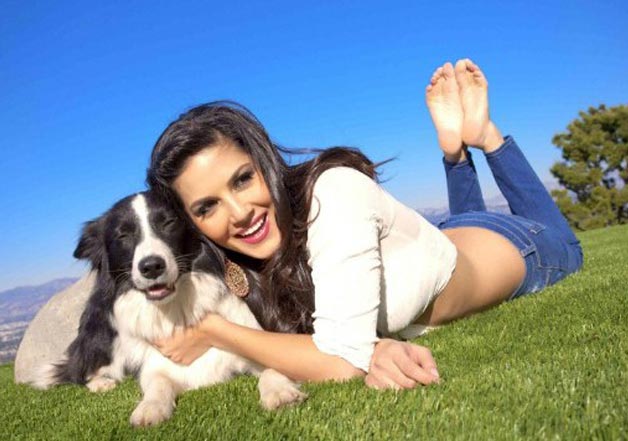 Sunny Leone bats for shelters, street dogs in PETA campaign | Bollywood  News – India TV