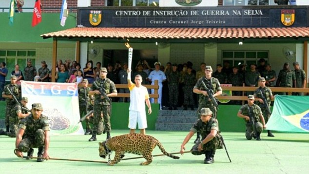 Rio 2016: Amazon Jaguar used in Olympic torch event shot dead in Brazil |  World News – India TV