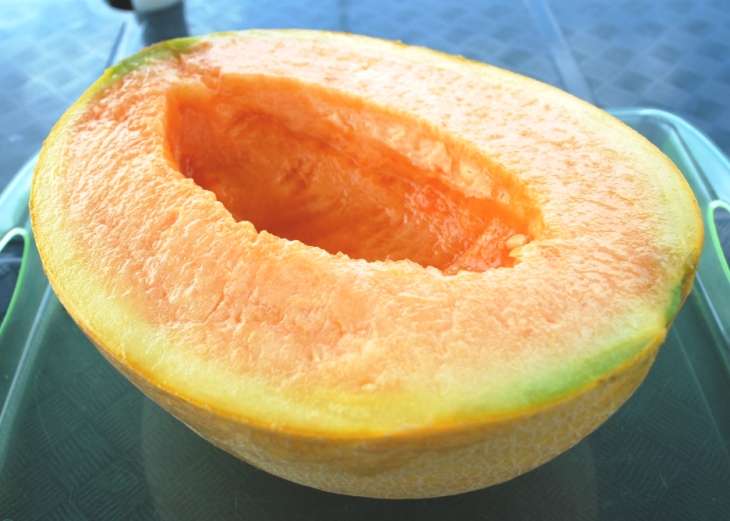 This melon costs as much as a new car! | Lifestyle News – India TV