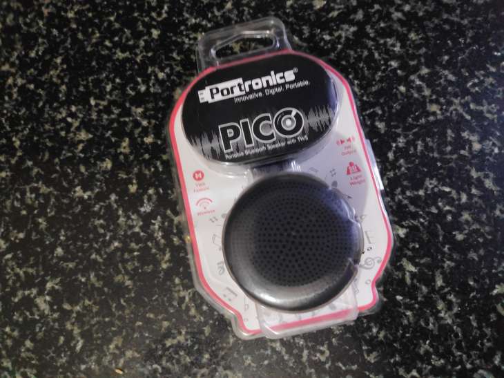 pico bluetooth speaker price