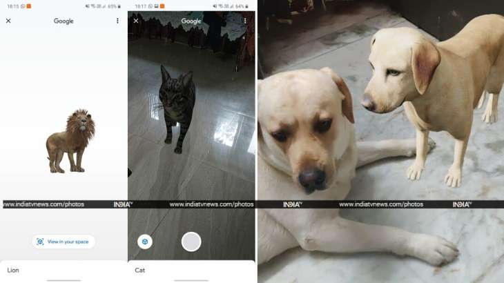 Google 3D Animals: How to see dog, tiger, duck, birds in your living room  on Android, iOS | Apps News – India TV