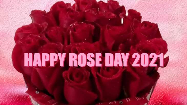 Happy Rose Day 2021: Wishes, Quotes, HD Images, Wallpapers, Greetings, WhatsApp messages | Relationships News – India TV Happy Rose Day 2021: Wishes, Quotes, HD Images, Wallpapers, Greetings, WhatsApp messages | Relationships News – India TV
