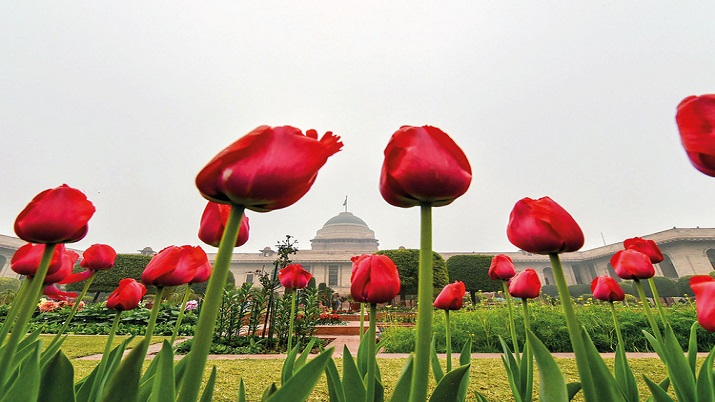Mughal Gardens visitors reopen online booking details timings | India News – India TV