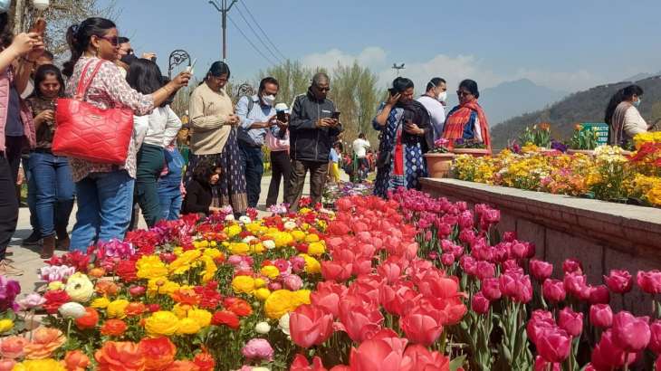 Asia's largest Tulip garden opens for visitors in J&K's Srinagar ...