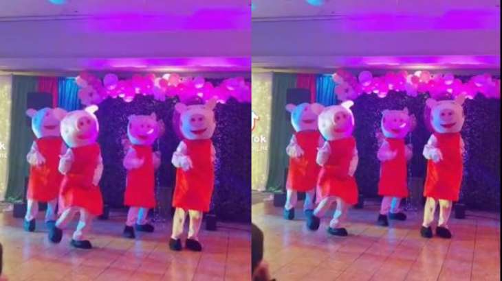 Viral Video: A group of Peppa Pigs dancing to 'Kala Chasma' is a whole mood  | Trending News – India TV