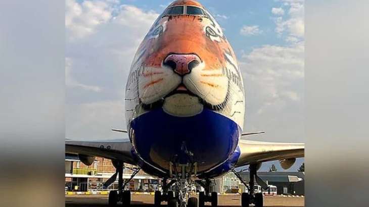 Specially customised tiger-faced B747 jumbo jet, Namibia cheetahs, cheetah, India Cheetahs