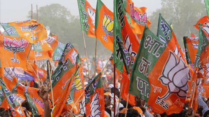 Uttar Pradesh by-elections: BJP names candidates for Mainpuri, Rampur and  Khatauli bypolls | Elections News – India TV
