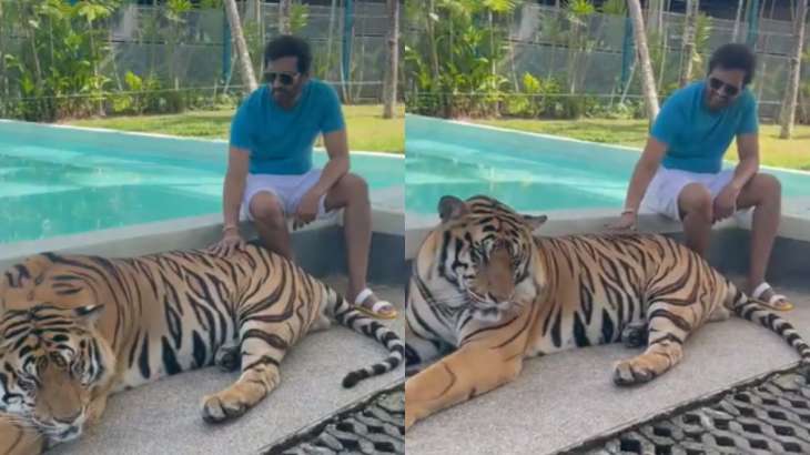 Actor Santhanam faces massive backlash for posing with sedated Tiger,  netizens call him 'cruel' | Viral Video | Trending News – India TV