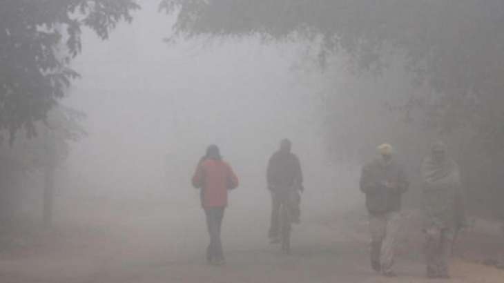 Cold wave grips parts of North India