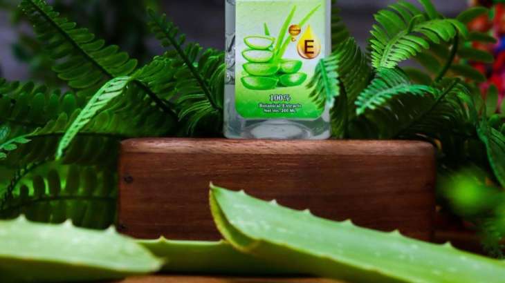 Productief Toerist Stuiteren Aloe Vera is perfect remedy for winter skin. Know the right products for  long-lasting effects | Beauty News – India TV