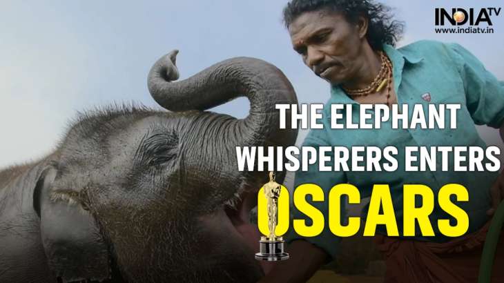 Oscars 2023 Nominations: The Elephant Whispers 