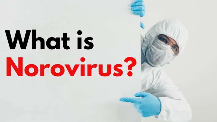 Norovirus 