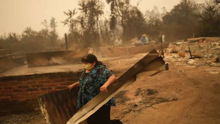 A woman clearing debris from a landscape of charred remains
