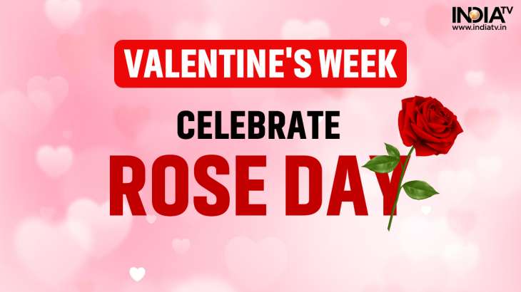 Rose Day: Red, pink, white and orange; know meaning behind different