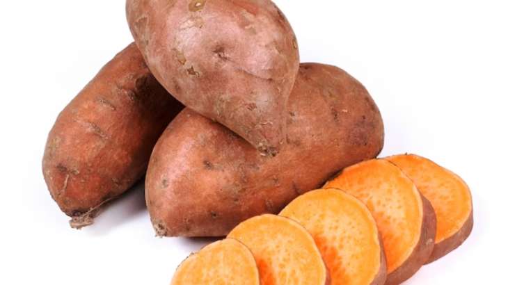 Sweet Potato