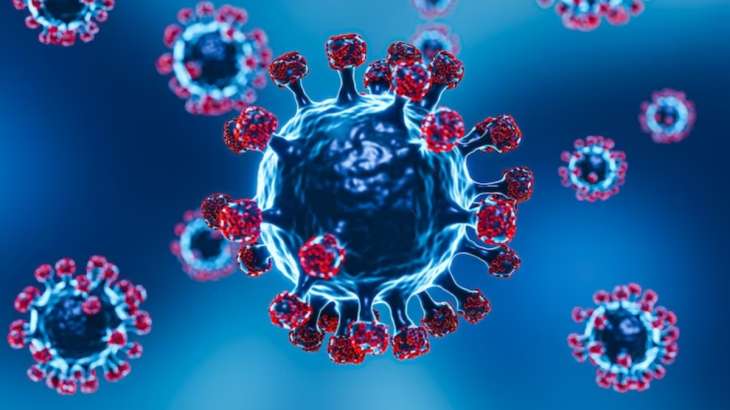 Know how to reduce Covid risk amid H3N2 virus outbreak