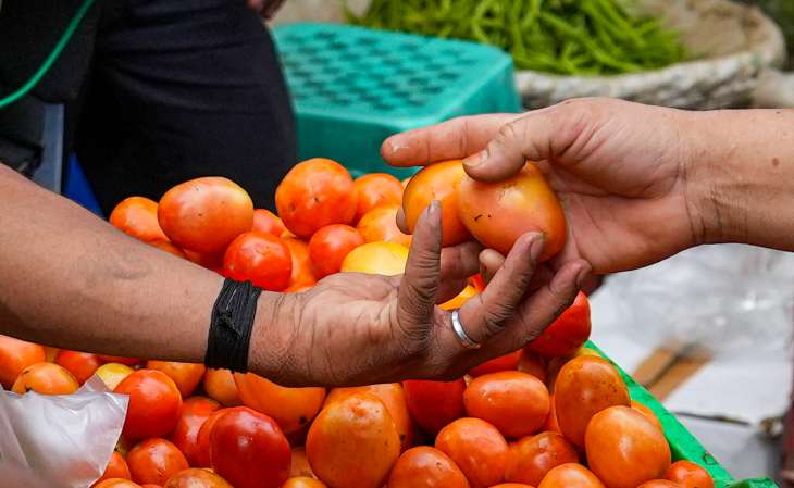 Tomato is in the news due to its rising price