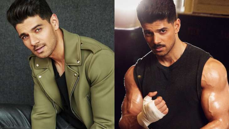 Sooraj Pancholi will be a part of Bigg Boss? 