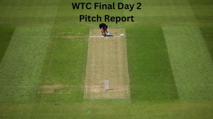 WTC Final 2023 IND vs AUS Day 2 Pitch Report