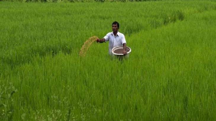 Retail inflation for farm, rural workers rises marginally