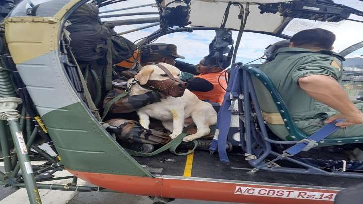 dog tags military