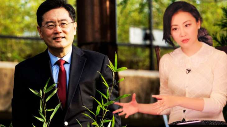 Chinese Foreign Minister Qin Gang and journalist Fu