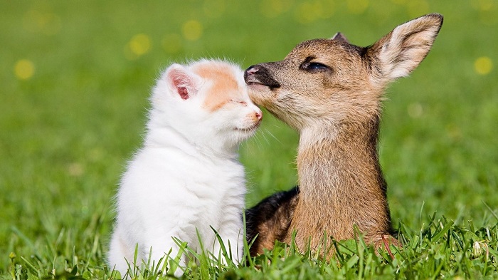 Image result for friendship day 2017