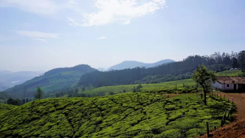 Ooty: 5 places you should visit in the hill station for the perfect getaway