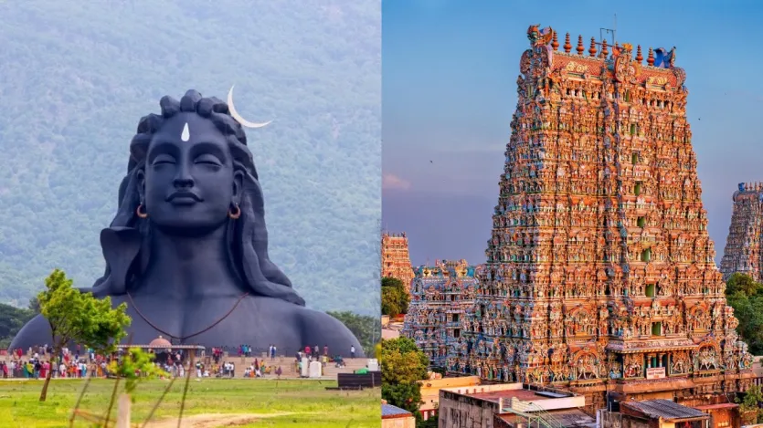 Tamil Nadu's Pongal 2025: Five vibrant destinations