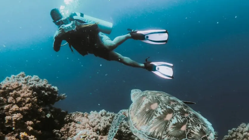The Lakshadweep Islands: This is a group of 36 islands off the southwestern coast of India. It is renowned for its pristine coral reefs, warm waters and abundant marine life, including manta rays, sea turtles and colourful fish.