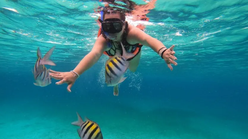 Tarkarli (Maharashtra): Situated on the Konkan coast, Tarkarli is known for its stunning underwater visibility and peaceful atmosphere. The coral reefs here are rich with marine life, including pufferfish, stingrays and turtles.