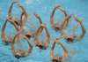 russian girls sweep synchro swimming at junior world