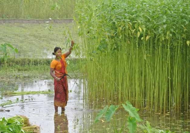 GoM to meet on jute situation on May 19 |IndiaTV News