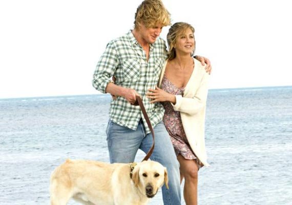 'Marley and Me' sequel on TV soon | Hollywood News – India TV