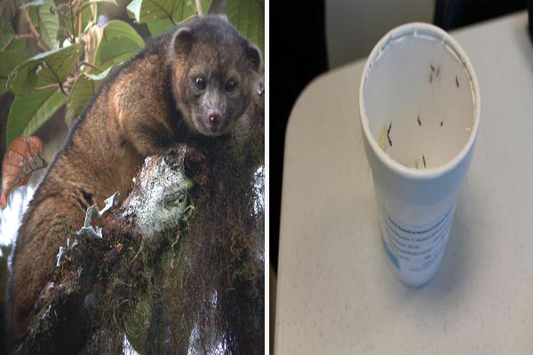 2013 WORLD NEWS visual data 4