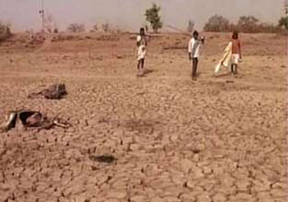 Central team to assess Maharashtra drought | India - India TV News
