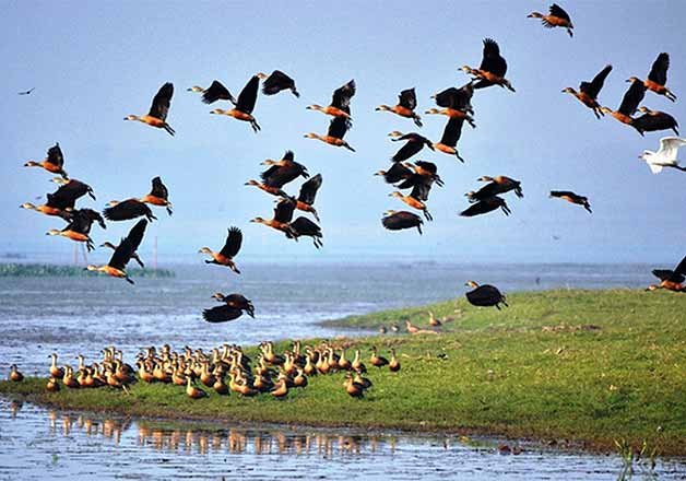 government to notify more than 60 eco sensitive zones in 2015