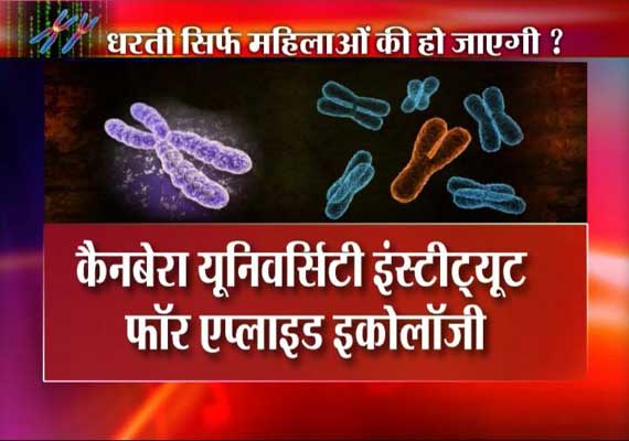 males will disappear in 5 million years predicts australian geneticist jenny graves