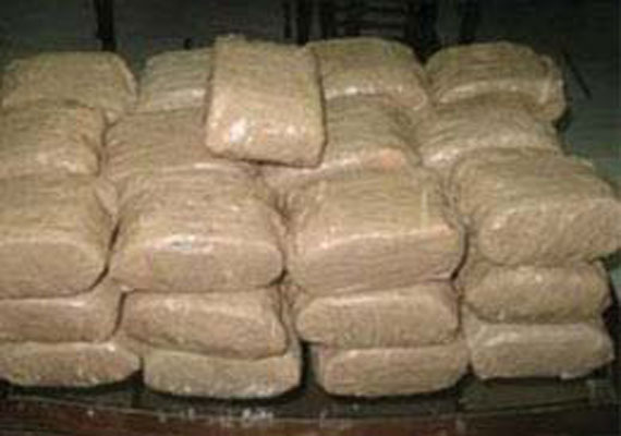 Nepalese National Held in Delhi with 11 Kg Charas Worth Over Rs 1 Crore