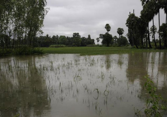 17 dead as rains batter Andhra Pradesh - India TV News