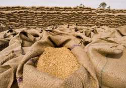 govt frees up extra 10 million tonne wheat in open market