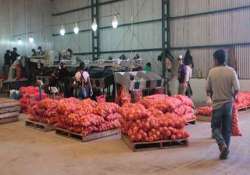 govt sharply cuts onion mep to usd 350 a tonne