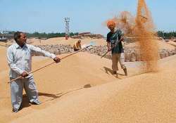 govt announces wheat msp hike of rs 65 per quintal