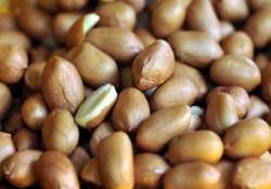 groundnut oil regains on renewed demand