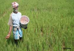 budget 2015 fertiliser ministry seeks additional rs 30 000 crore to clear subsidy arrears