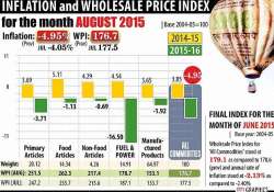 wholesale price index dips to historic 4.95 pressure on rbi to cut rate