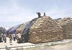 stopping foodgrain buying by fci will be harmful for farmers punjab