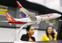 seeking additional turnover spicejet plans door to door cargo delivery service